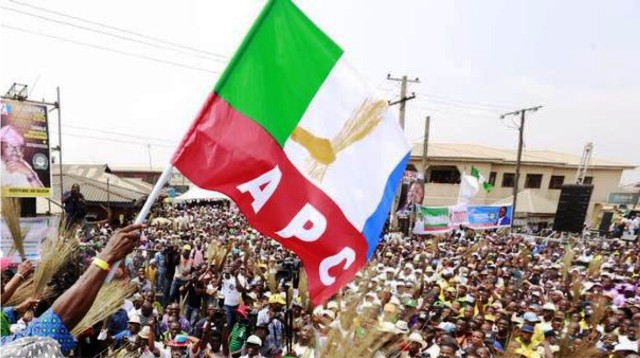 APC, Time table, Primary elections