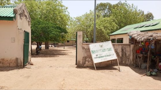 Investigation: How Cholera Killed Many In Jigawa After Govt Claimed It Spent Billions On Epidemic Preparedness In PHCs 7